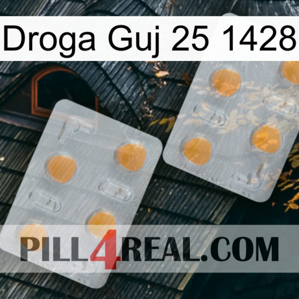 Guj Drug 25 1428 25.jpg